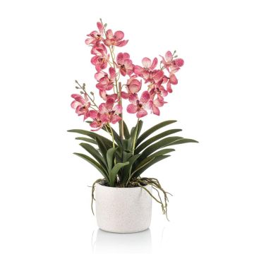 Artificial Vanda orchid PAVRA in ceramic pot, roots, fuchsia-white, 24"/60cm Artificial Vanda orchid PAVRA in ceramic pot, roots, fuchsia-white, 24"/60cm