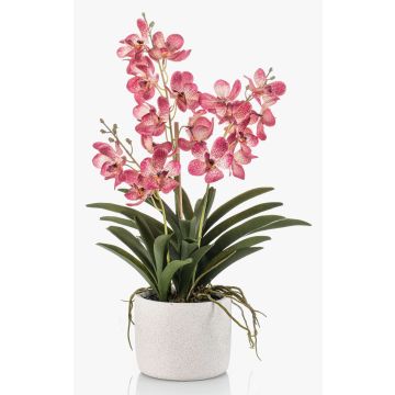 Artificial Vanda orchid PAVRA in ceramic pot, roots, fuchsia-white, 24"/60cm