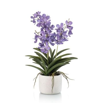 Artificial Vanda orchid PAVRA in ceramic pot, roots, violet-white, 24"/60cm Artificial Vanda orchid PAVRA in ceramic pot, roots, violet-white, 24"/60cm