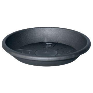 Round planter coaster DONIKA made of plastic, with holes, anthracite, 1.6"/4cm, Ø12"/30cm Round planter coaster DONIKA made of plastic, with holes, anthracite, 1.6"/4cm, Ø12"/30cm