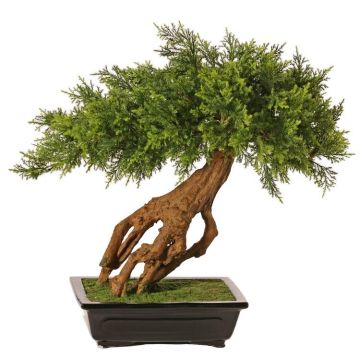 Artificial juniper bonsai LORITIS in stone bowl, 55cm