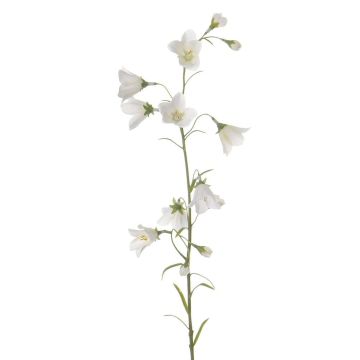 Artificial bellflower GISELA, white, 26"/65cm, Ø2"/5cm