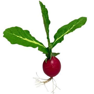 Decorative vegetable Radish DOMAT, red-green, 4.5"/11,5cm