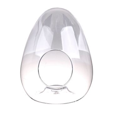 Plant terrarium glass EDUARD in egg shape, clear, 34cm, Ø28cm