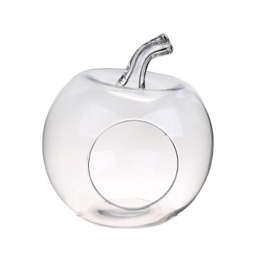 Plant terrarium TISOA made of glass in apple shape, clear, 10"/26cm, Ø9"/24cm
