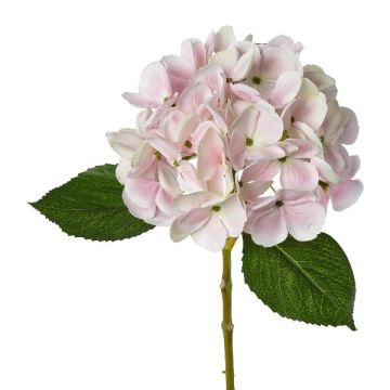 Artificial flower Hydrangea KLUVT, pink, 20"/50cm Artificial flower Hydrangea KLUVT, pink, 20"/50cm