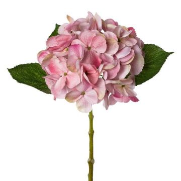 Artificial flower Hydrangea KLUVT, dusky pink, 20"/50cm Artificial flower Hydrangea KLUVT, dusky pink, 20"/50cm