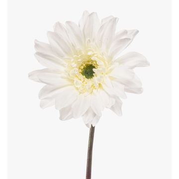 Artificial Gerbera FRALWE, Eco Collection, white, 65cm, Ø13cm