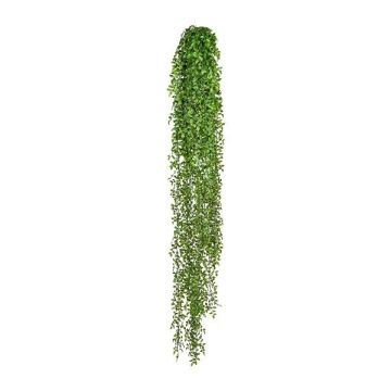 Artificial hanging plant Butcher's broom VOPRI, spike, green, 5ft/160cm