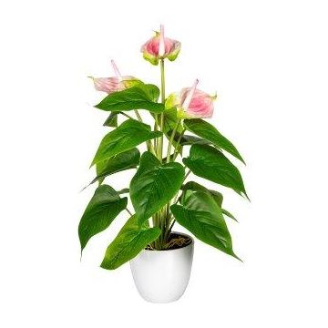 Artificial flamingo flower PLOVIR in decorative pot, roots, pink, 16"/40cm Artificial flamingo flower PLOVIR in decorative pot, roots, pink, 16"/40cm