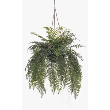 Decorative sword fern and lady’s hair fern hanging basket MAXROL, ‘ ’ root ball, roots, hanging, green, 85cm