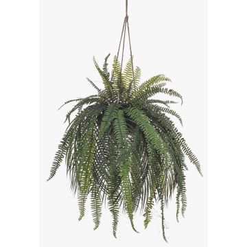 Decorative lady’s fern hanging basket MAXROL, root ball, roots, hanging, green, 90 cm