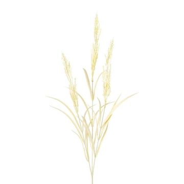 Decorative branch Wood small-reed BUTINA with panicles, beige, 33"/85cm