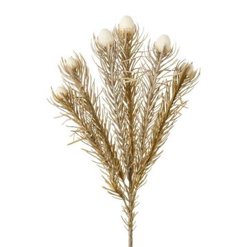 Decorative branch Pincushion protea KROLI, cream-brown, 20"/50cm Decorative branch Pincushion protea KROLI, cream-brown, 20"/50cm