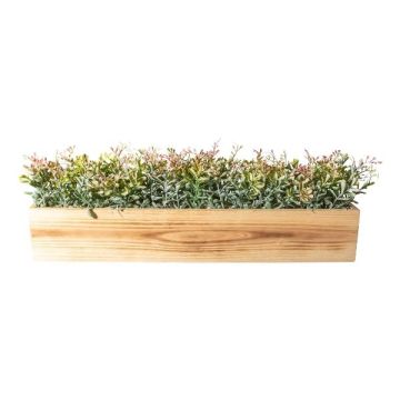 Decorative plant: JORHEL tea plant in wooden box, green-brown, 22"x5.9"x6.3"/55x15x16cm Decorative plant: JORHEL tea plant in wooden box, green-brown, 22"x5.9"x6.3"/55x15x16cm