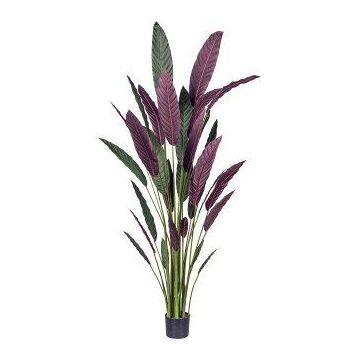 Artificial plant: Heliconia SNALHE, green-burgundy, 7ft/210cm Artificial plant: Heliconia SNALHE, green-burgundy, 7ft/210cm