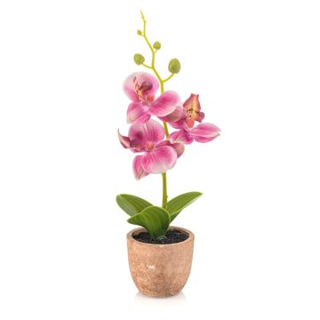 Plastic Phalaenopsis orchid LEONISA in terracotta pot, pink, 8"/20cm