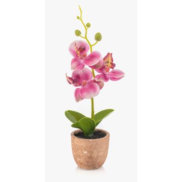 Plastic Phalaenopsis orchid LEONISA in terracotta pot, pink, 8"/20cm