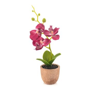 Plastic Phalaenopsis orchid LEONISA in terracotta pot, fuchsia, 8"/20cm
