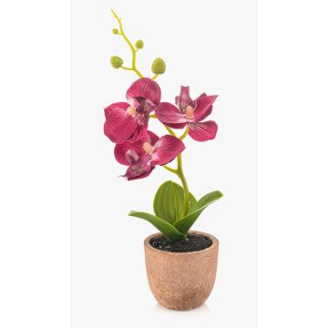 Plastic Phalaenopsis orchid LEONISA in terracotta pot, fuchsia, 8"/20cm