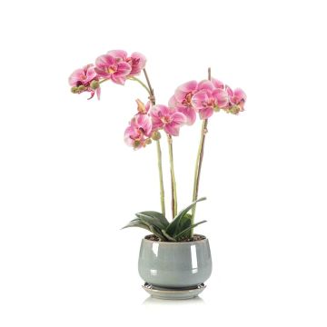 Artificial Phalaenopsis orchid JOLANA in a ceramic pot, pink, 18"/45cm