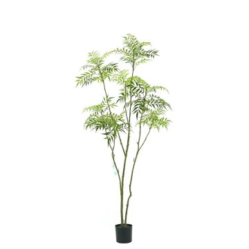 Artificial tree Mahonia KLEANA, artificial stems, green, 7ft/210cm