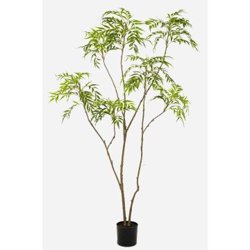 Artificial tree Mahonia KLEANA, artificial stems, green, 7ft/210cm