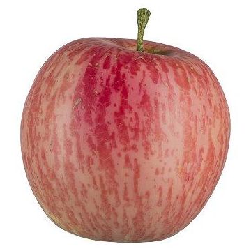 Artificial fruit Apple LOKPA, fuchsia, 2.6"/6,5cm, Ø2.6"/6,5cm