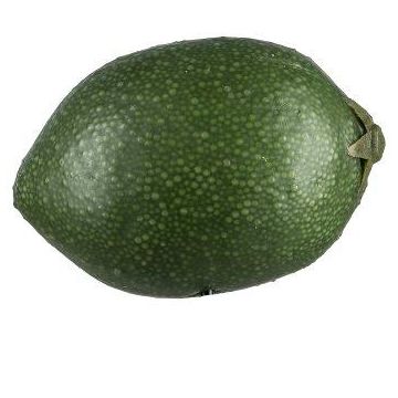 Decorative fruit Lime POLASY, dark green, 1.8"/4,5cm, Ø1.4"/3,5cm Decorative fruit Lime POLASY, dark green, 1.8"/4,5cm, Ø1.4"/3,5cm