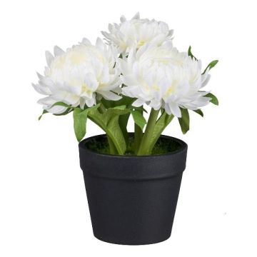 Artificial flower Cape strawflower GLOMST in decorative pot, white, 5.5"/14cm Artificial flower Cape strawflower GLOMST in decorative pot, white, 5.5"/14cm