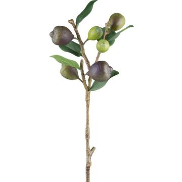 Artificial fig tree branch FLOVAR with fruits, green, 24"/60cm Artificial fig tree branch FLOVAR with fruits, green, 24"/60cm