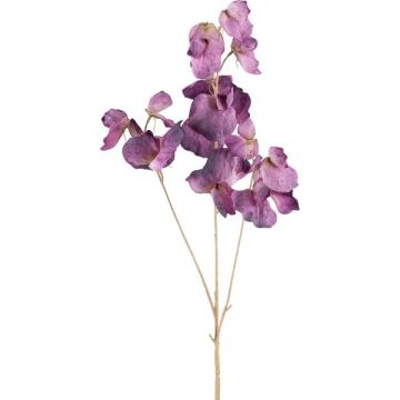 Decorative branch Lathyrus latifolius SLIRKEN, dark purple, 30"/75cm