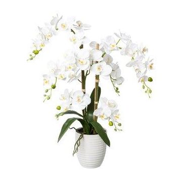 Artificial Phalaenopsis orchid LUKREN in ceramic pot, roots, white, 26"/65cm Artificial Phalaenopsis orchid LUKREN in ceramic pot, roots, white, 26"/65cm