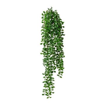 Artificial Columnea hanging plant KOLHIN, stick, green, 85cm