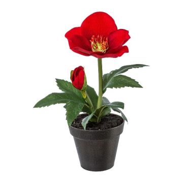 Velvet Christmas rose ANSIK in decorative pot, red, 7"/19cm