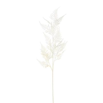 Artificial branch Asparagus Plumosus VORLON, cream, 33"/85cm