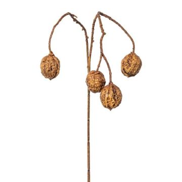 Artificial branch Walnut FRALMO with fruits, brown, 26"/65cm