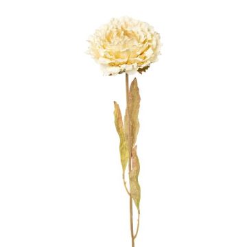 Decorative flower Peony MASNOR, dry look, cream, 26"/65cm