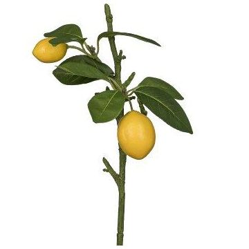 Artificial lemon branch ADELAIDA with fruit, yellow, 14"/35cm Artificial lemon branch ADELAIDA with fruit, yellow, 14"/35cm