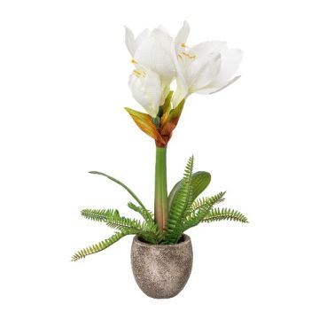 Artificial flower arrangement: Amaryllis OMELRA with fern, cement pot, white, 14"/35cm Artificial flower arrangement: Amaryllis OMELRA with fern, cement pot, white, 14"/35cm