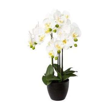 Artificial Phalaenopsis orchid UKERNA in resin planter, white, 22"/55cm