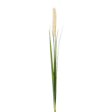 Artificial pennisetum panicle KROVE, spike, cream, 33"/85cm