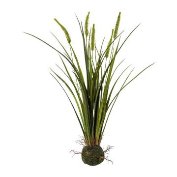 Artificial grass Miscanthus MILNO, soil ball, panicles, roots, green, 26"/65cm