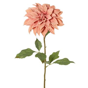 Decorative dahlia PHILLIPPA, Eco Collection, dusky pink, 26"/65cm, Ø6"/15cm