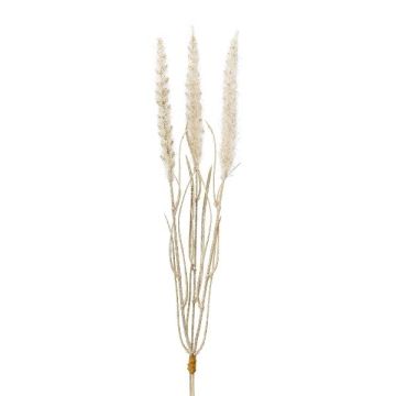 Fake grass Pennisetum ALOGUI with panicles, spike, beige, 20"/50cm