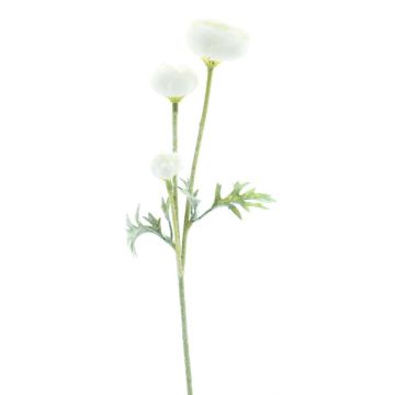 Decorative branch Ranunculus TRITO, cream, 14"/35cm Decorative branch Ranunculus TRITO, cream, 14"/35cm