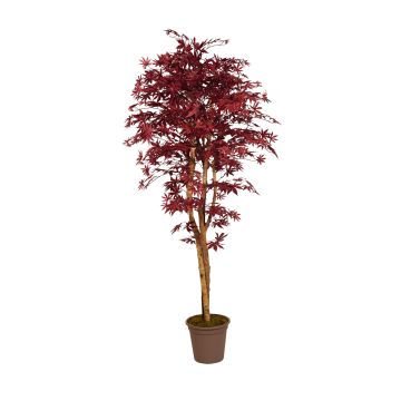 Decorative Japanese maple GORDJUSCHA, real stems, dark red, 6ft/175cm - Made in Italy Decorative Japanese maple GORDJUSCHA, real stems, dark red, 6ft/175cm - Made in Italy