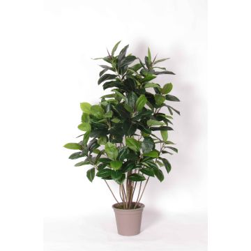 Artificial rubber tree LAURINTU, natural stems, green, 5ft/150cm - Made in Italy Artificial rubber tree LAURINTU, natural stems, green, 5ft/150cm - Made in Italy