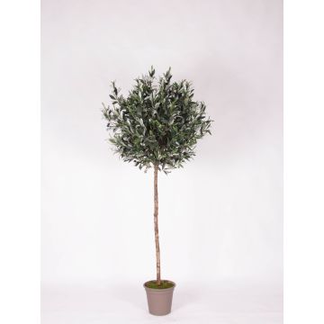 Decorative olive tree MILINO, natural stem, with fruits, 6ft/180cm - Made in Italy