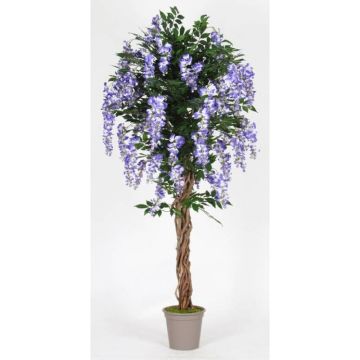 Artificial wisteria ANNIARA, real stems, with flowers, purple, 5ft/150cm - Made in Italy